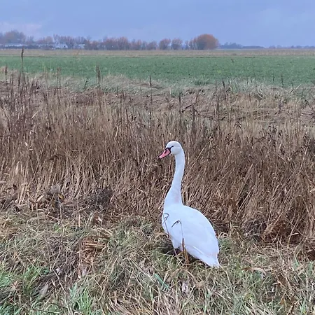 Au Pre Acheux-en-Vimeu