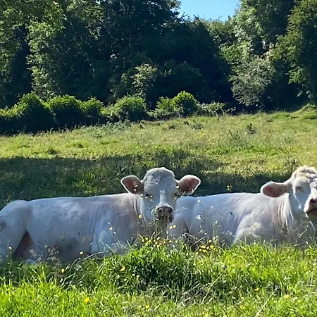 Au Pré Hébergement de vacances