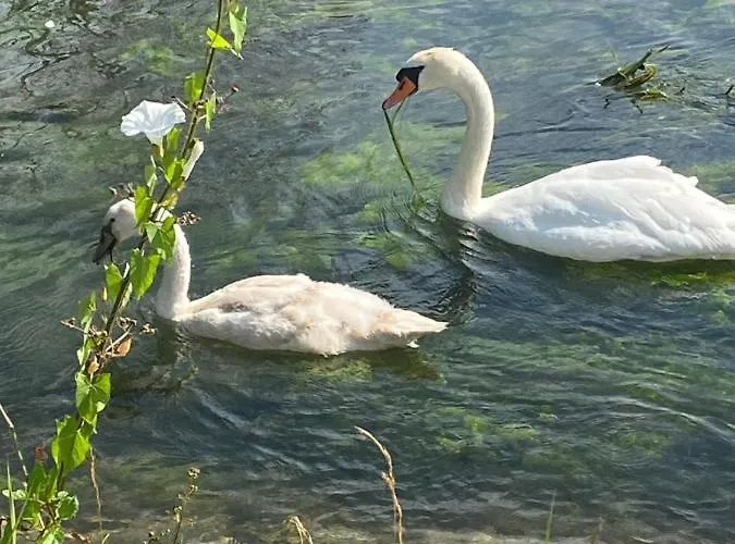 Au Pré Acheux-en-Vimeu