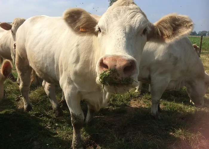 Hébergement de vacances Au Pré
